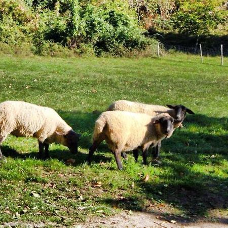 Willa Agriturismo Terra E Cielo Serra Rocco Zewnętrze zdjęcie