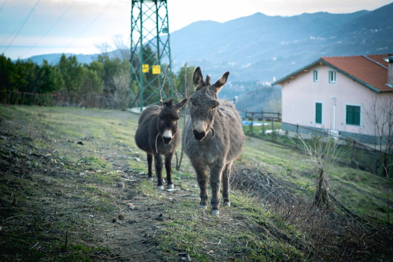 Willa Agriturismo Terra E Cielo Serra Rocco Zewnętrze zdjęcie