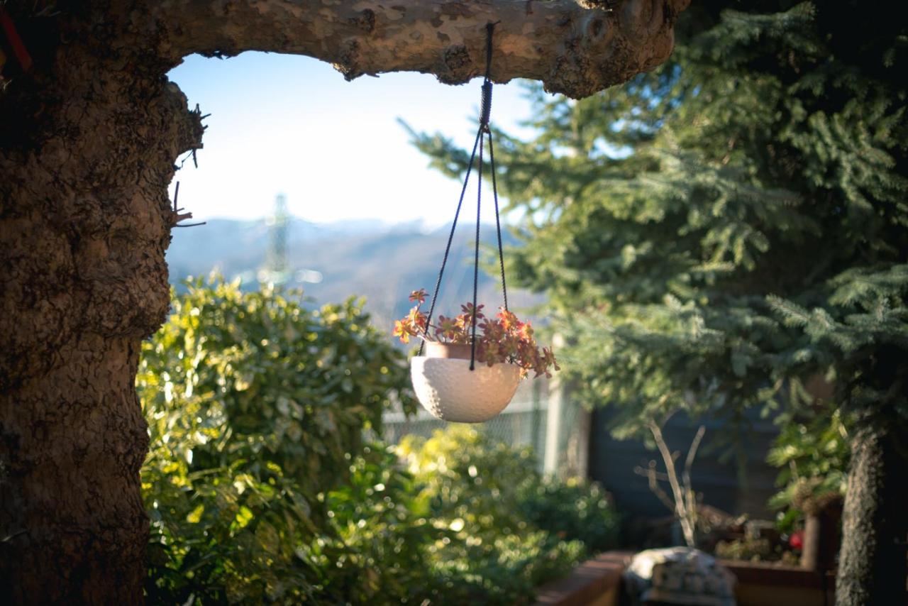 Willa Agriturismo Terra E Cielo Serra Rocco Zewnętrze zdjęcie