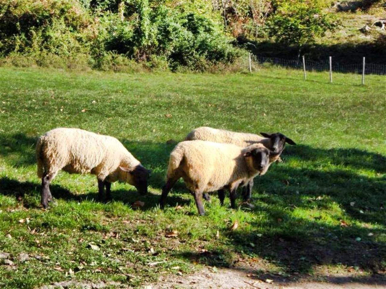 Willa Agriturismo Terra E Cielo Serra Rocco Zewnętrze zdjęcie